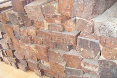 �ϓ��t��֦��ĵ�Ԕ����B