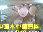 �c���鿴ľ�S�Ŵ�DƬ