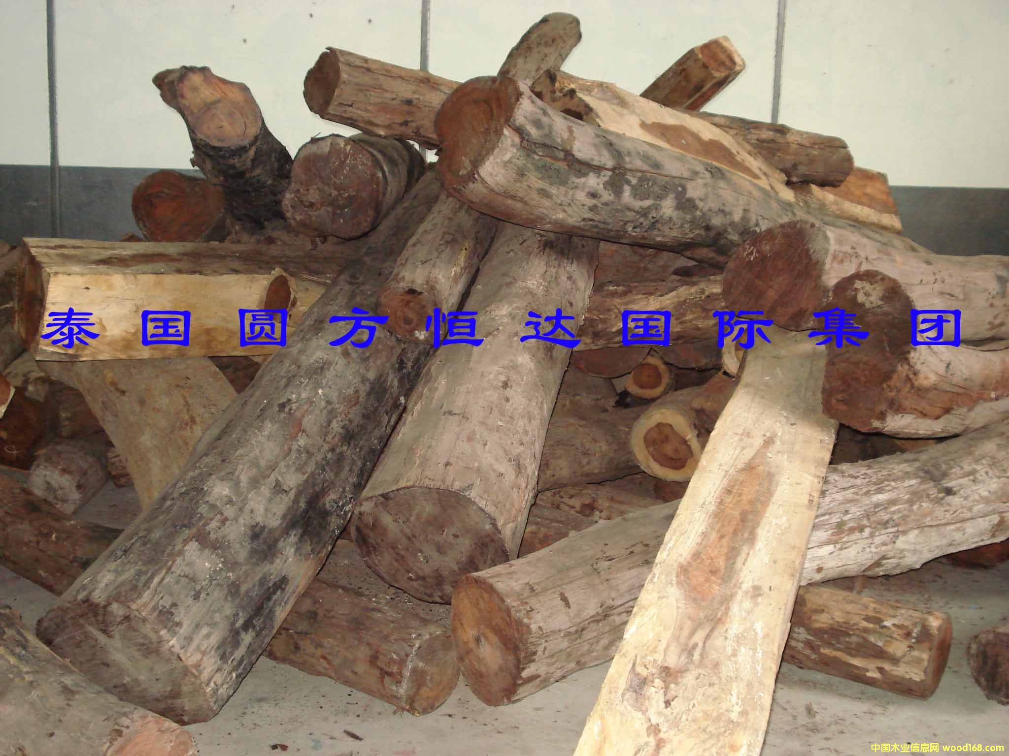 ��t��֦��Ԕ��(x��)��B