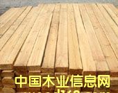 ����ľ����Ԕ����B