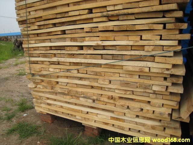 �c���鿴��ľ�Ŵ�DƬ