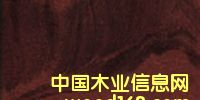 �c���鿴kwila.��̫ƽ���Fľ�Ŵ�DƬ