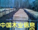 �c���鿴��Ƥ�Ŵ�DƬ