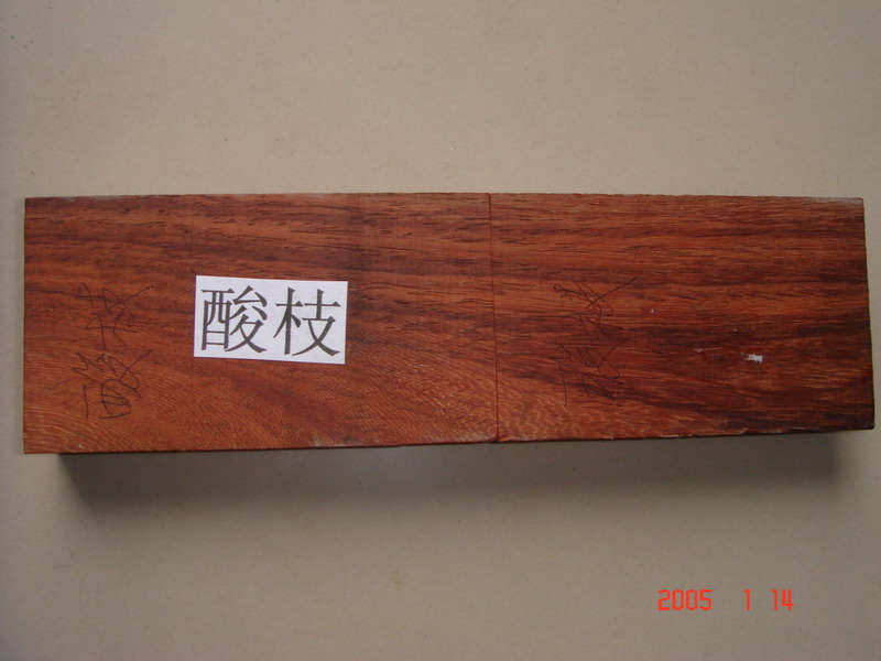 ������֦ľ��Ԕ����B