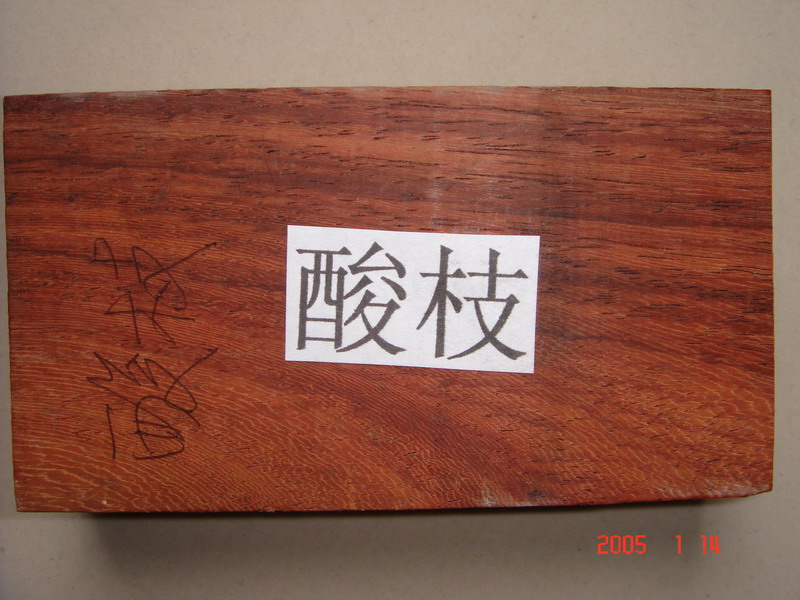 ������֦ľ��Ԕ����B