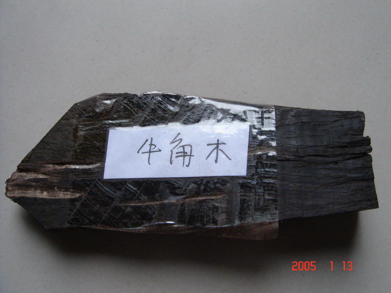 �ϓ�ţ��ľ��Ԕ����B