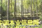 �c���鿴����ַŴ�DƬ