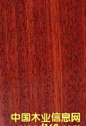 ��܇����ľ��Ԕ����B