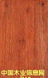 �����̴��Ԕ����B