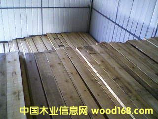 ���ɺ�ɰ�ĵ�Ԕ����B