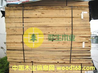 ���ô�SPFľ��--2*8��Ԕ����B