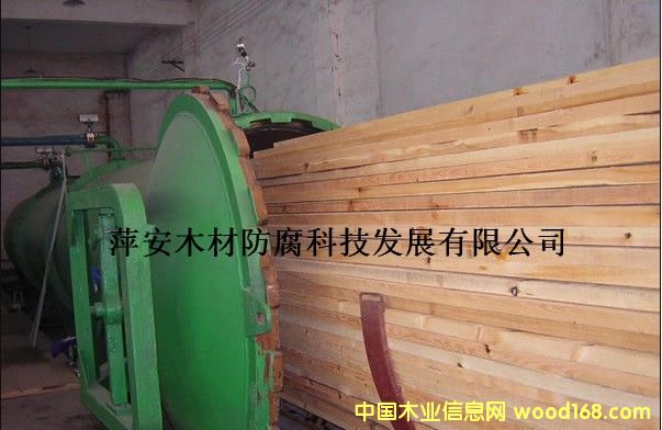 �c���鿴ľ����ȼ�O��Ŵ�DƬ