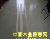 ���Ӱ�ֱ�l��Ԕ����B