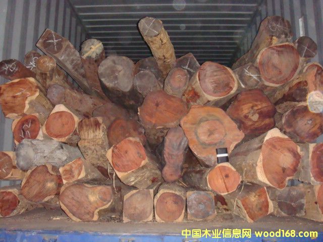 �c(di��n)���鿴��t��֦�Ŵ�DƬ