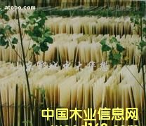 �п����o���ΰ��Ԕ����B