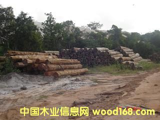 �G������Ԕ��(x��)��B