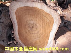 fsc��ľ