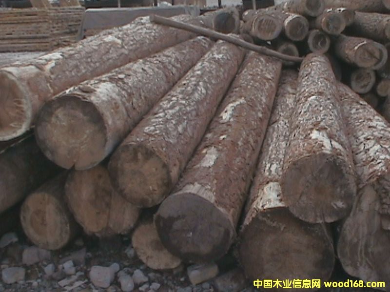 ľ�ĵ�Ԕ����B