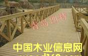 �c���鿴����ľ�Ŵ�DƬ