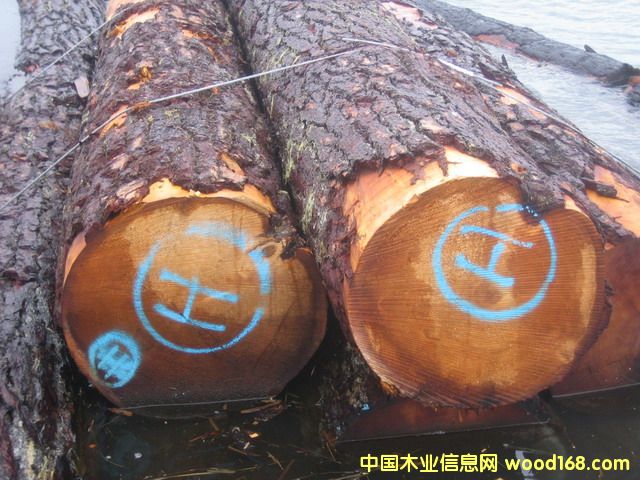 �c���鿴���Fɼ�Ŵ�DƬ