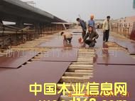 ����ģ���Ԕ����B