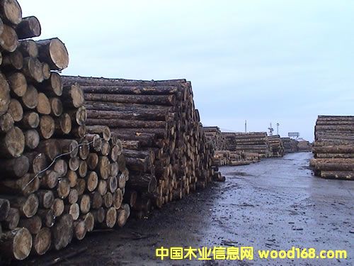 ԭľ��Ԕ����B