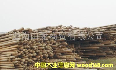 �c(di��n)���鿴��ľ�o(w��)�����Ŵ�DƬ