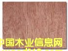 �c���鿴���ǹ����Ӱ�Ŵ�DƬ
