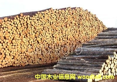 ��ľ��Ԕ����B