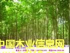 ������210���󻱘��Ԕ����B