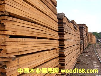 �c���鿴��ľ5��8��4��9�Ŵ�DƬ