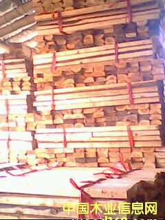 ɼľ���\�ϵ�Ԕ����B