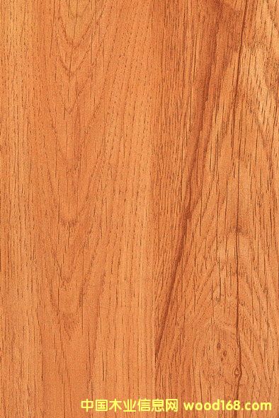 ���n����Ԕ����B