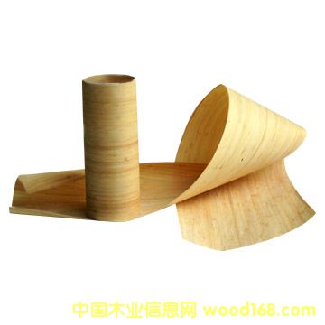 �c���鿴��Ƥ��������Ƭ�����N���b��ϷŴ�DƬ