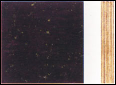 �� �M�ڽ��n���N����Ԕ����B