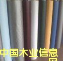 PVC��ɫƤ(�h��16P��