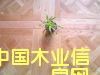 �c���鿴�ֹ�ˇ��ľƴ���ذ�Ŵ�DƬ