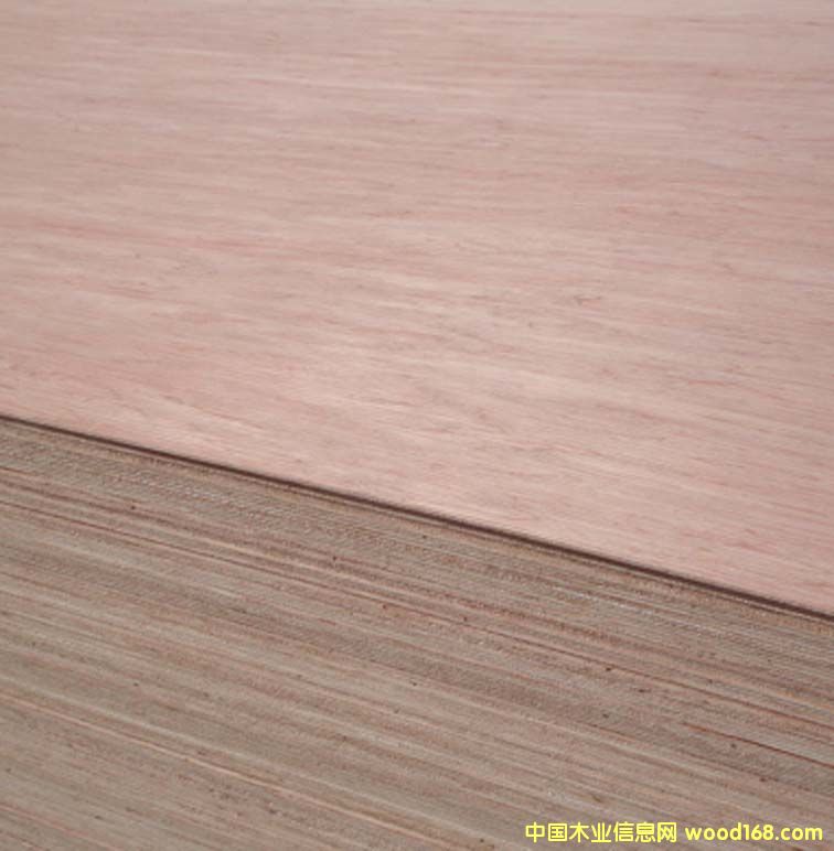 �c���鿴Bingtangor_plywood�Ŵ�DƬ
