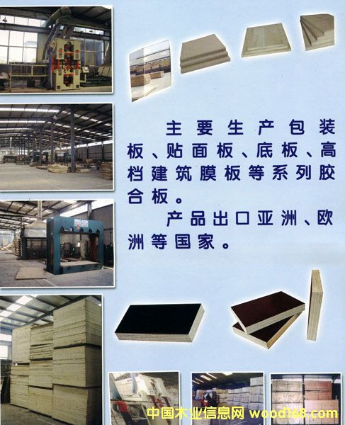 �c���鿴������Ĥ�壨��ľо���Ŵ�DƬ