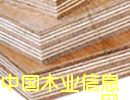 �c���鿴���b��ذ�Ŵ�DƬ