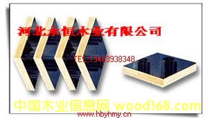 �c(di��n)���鿴����ģ��Ŵ�DƬ