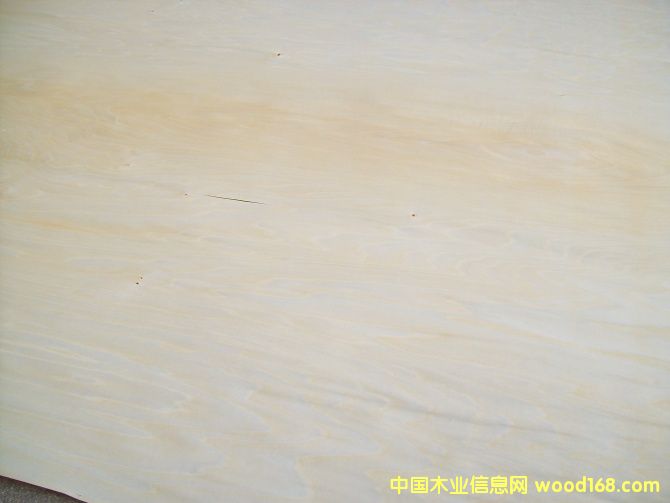 �ľ��Ƥ�����棳��Ԕ����B