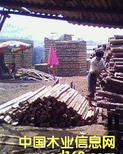 ��ľ��Ԕ��(x��)��B