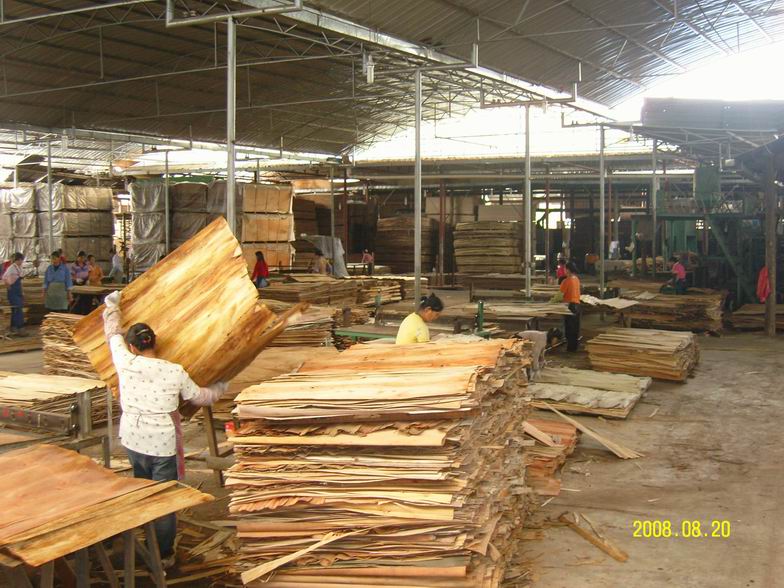 ��˾�DƬ��Ԕ��(x��)��B