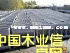 �c���鿴�ԄӲ�ʳ�۷Ŵ�DƬ