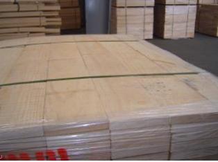 ݗ���ɟo��(ji��)��ĵ�Ԕ����B