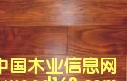�c���鿴��˼ľ��ľ�ذ�Ŵ�DƬ