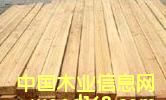 �������l��Ԕ����B