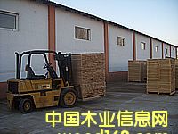 �_�R�၆ľ�ĵ�Ԕ����B