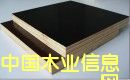 �c���鿴��������Ŵ�DƬ